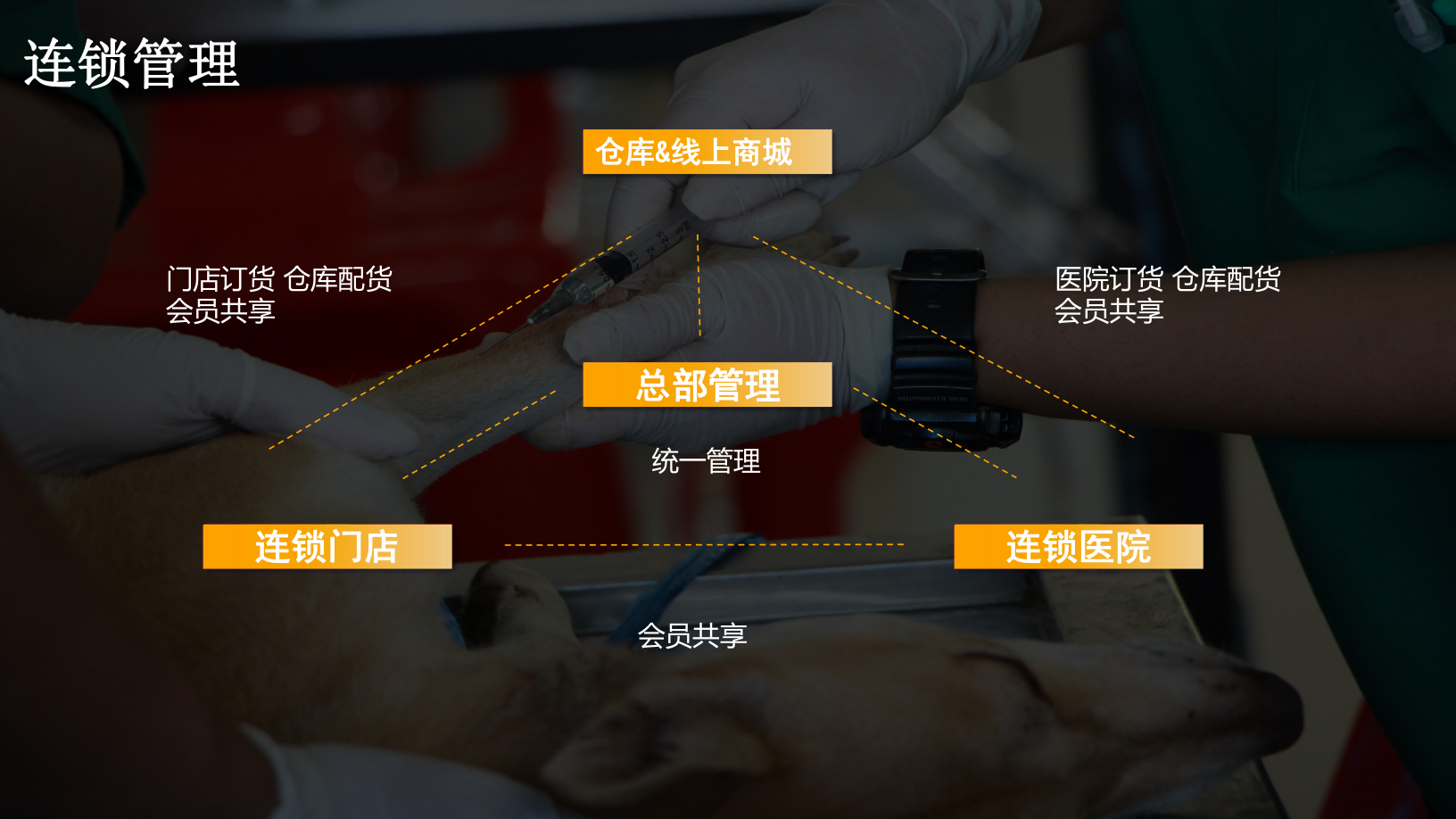 KimPos 寵物連鎖經營架構
